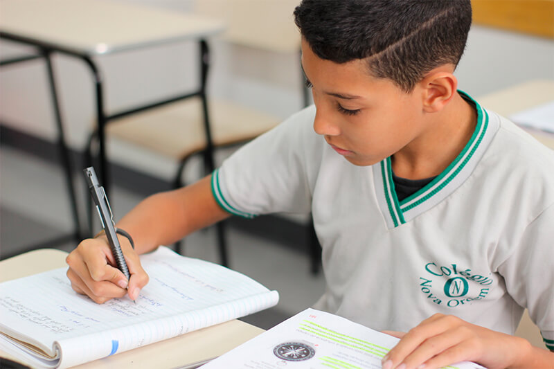 Escola Rei Leão Colégio Nova Ordem