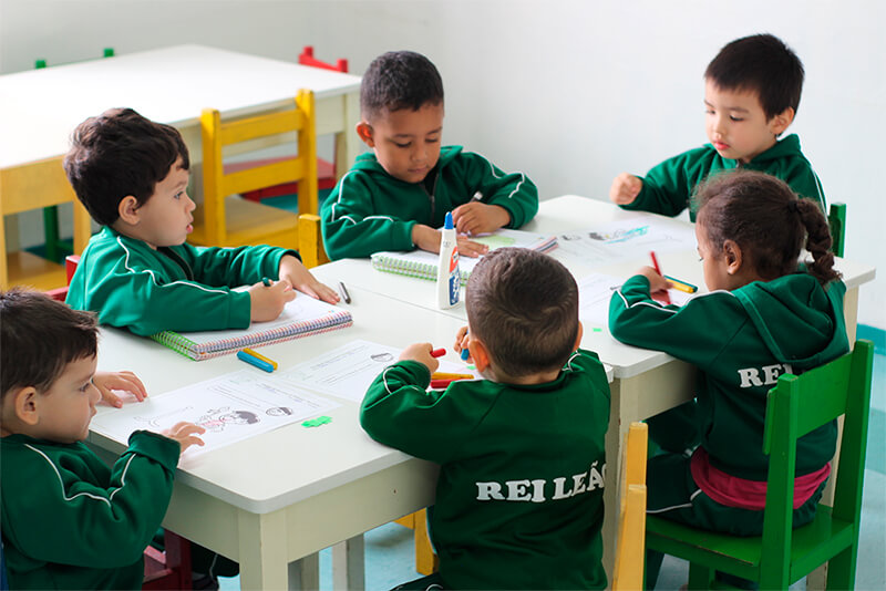 Escola Rei Leão Colégio Nova Ordem